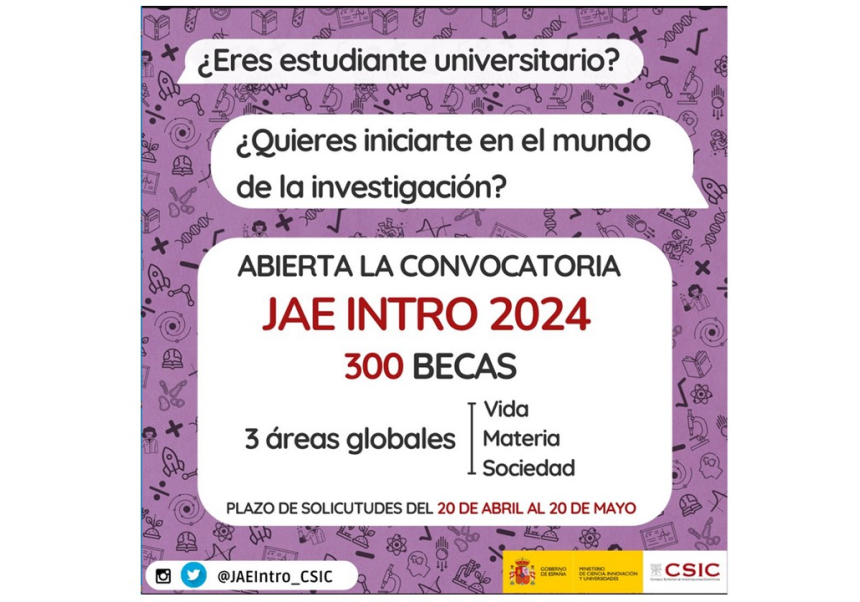 Image de la noticia